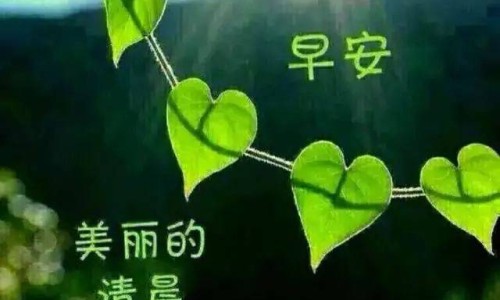 丙硫进口好还是国产好-丙硫进口和国产哪个副作用小、进口丙硫副作用小吗 -国产丙硫说明书网