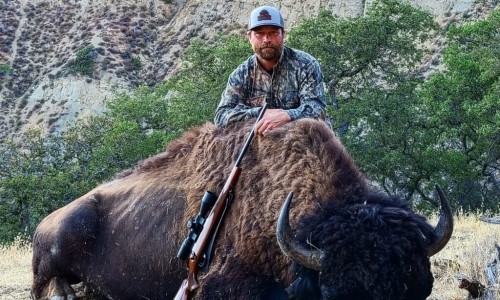 丙硫进口好还是国产好-丙硫进口和国产哪个副作用小、进口丙硫副作用小吗 -国产丙硫说明书网