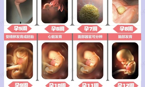 丙硫进口和国产哪个副作用小、进口丙硫副作用小吗 -国产丙硫说明书网